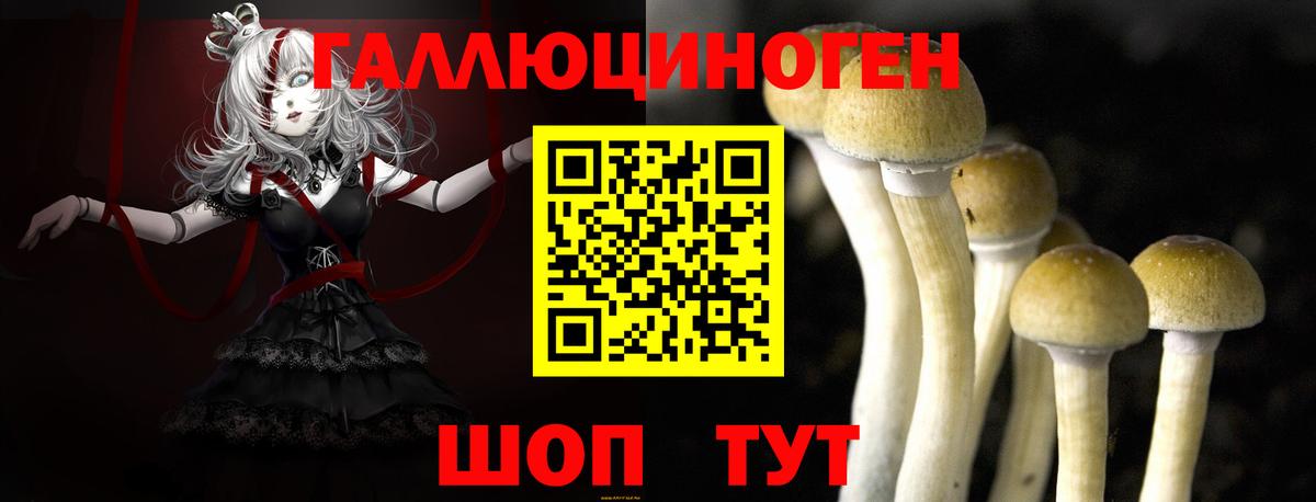 Псилоцибиновые грибы прущие грибы  Вход с VPN  Кстово 